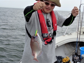 鯛紅丸 釣果
