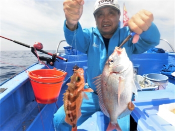 鯛紅丸 釣果