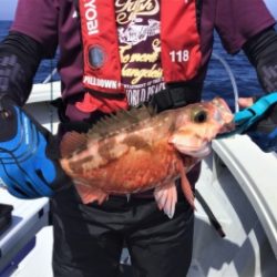 鯛紅丸 釣果