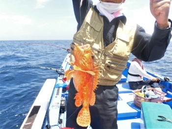 鯛紅丸 釣果