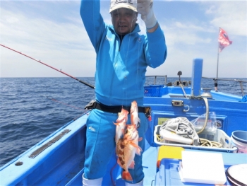 鯛紅丸 釣果