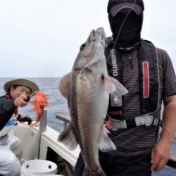 鯛紅丸 釣果