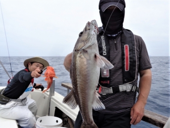 鯛紅丸 釣果