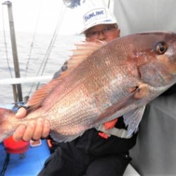 鯛紅丸 釣果