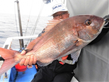 鯛紅丸 釣果