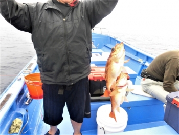 鯛紅丸 釣果