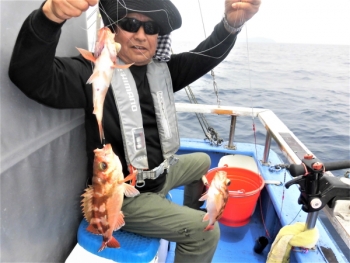 鯛紅丸 釣果