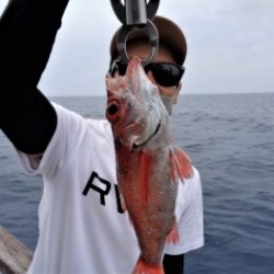 鯛紅丸 釣果