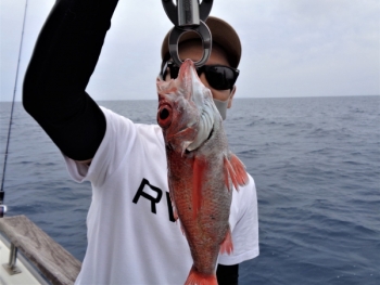 鯛紅丸 釣果