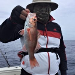 鯛紅丸 釣果