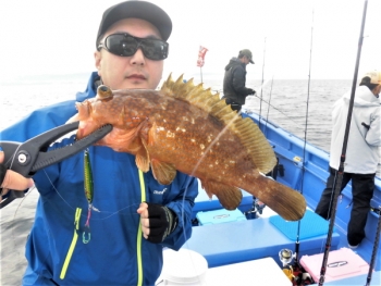 鯛紅丸 釣果