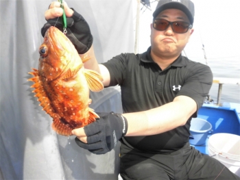 鯛紅丸 釣果