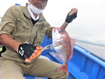 鯛紅丸 釣果