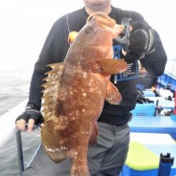 鯛紅丸 釣果