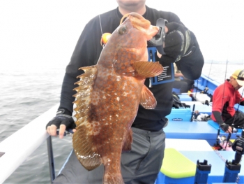鯛紅丸 釣果