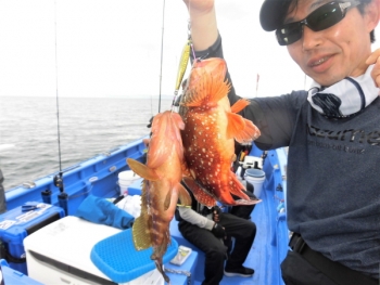 鯛紅丸 釣果