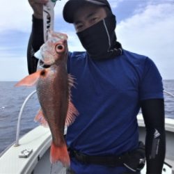 鯛紅丸 釣果
