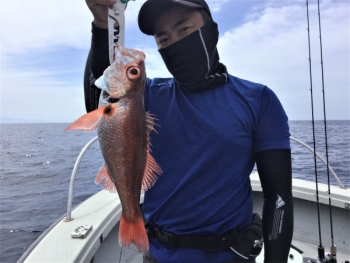 鯛紅丸 釣果