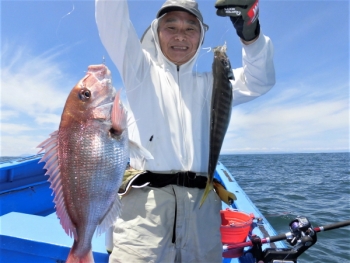鯛紅丸 釣果