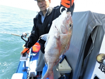 鯛紅丸 釣果