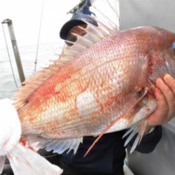 鯛紅丸 釣果