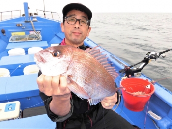 鯛紅丸 釣果