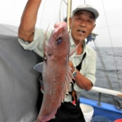 鯛紅丸 釣果