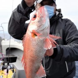鯛紅丸 釣果
