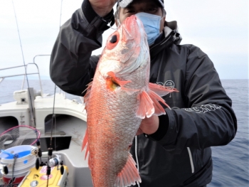 鯛紅丸 釣果