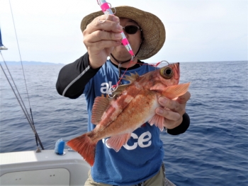 鯛紅丸 釣果