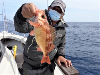 鯛紅丸 釣果