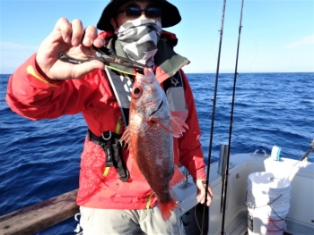 鯛紅丸 釣果
