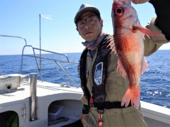 鯛紅丸 釣果