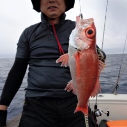 鯛紅丸 釣果
