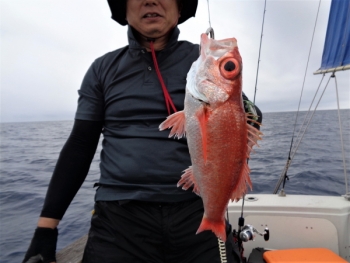 鯛紅丸 釣果
