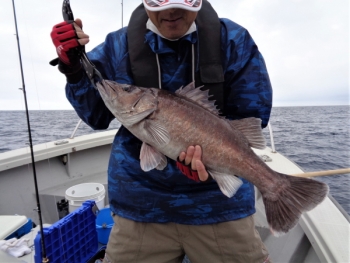 鯛紅丸 釣果