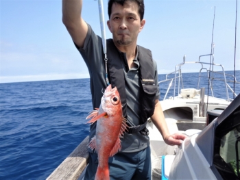 鯛紅丸 釣果