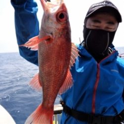 鯛紅丸 釣果