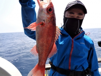 鯛紅丸 釣果
