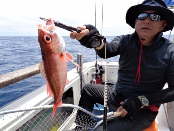 鯛紅丸 釣果