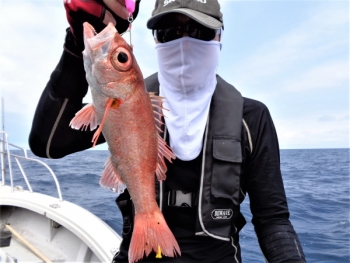 鯛紅丸 釣果