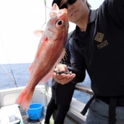 鯛紅丸 釣果
