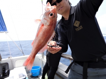 鯛紅丸 釣果