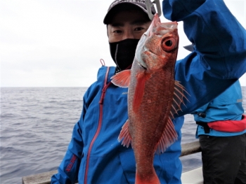 鯛紅丸 釣果