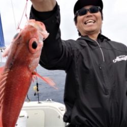 鯛紅丸 釣果