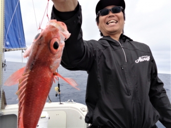 鯛紅丸 釣果