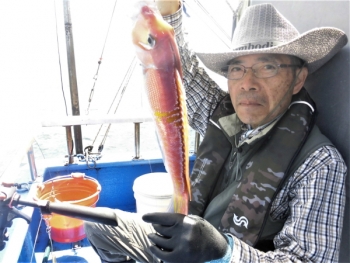 鯛紅丸 釣果