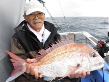 鯛紅丸 釣果