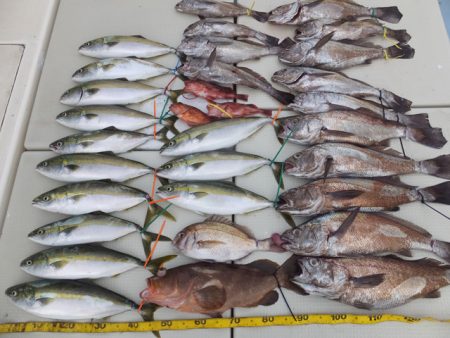 Hit Rush(ヒット ラッシュ） 釣果…