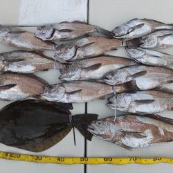 Hit Rush(ヒット ラッシュ) 釣果